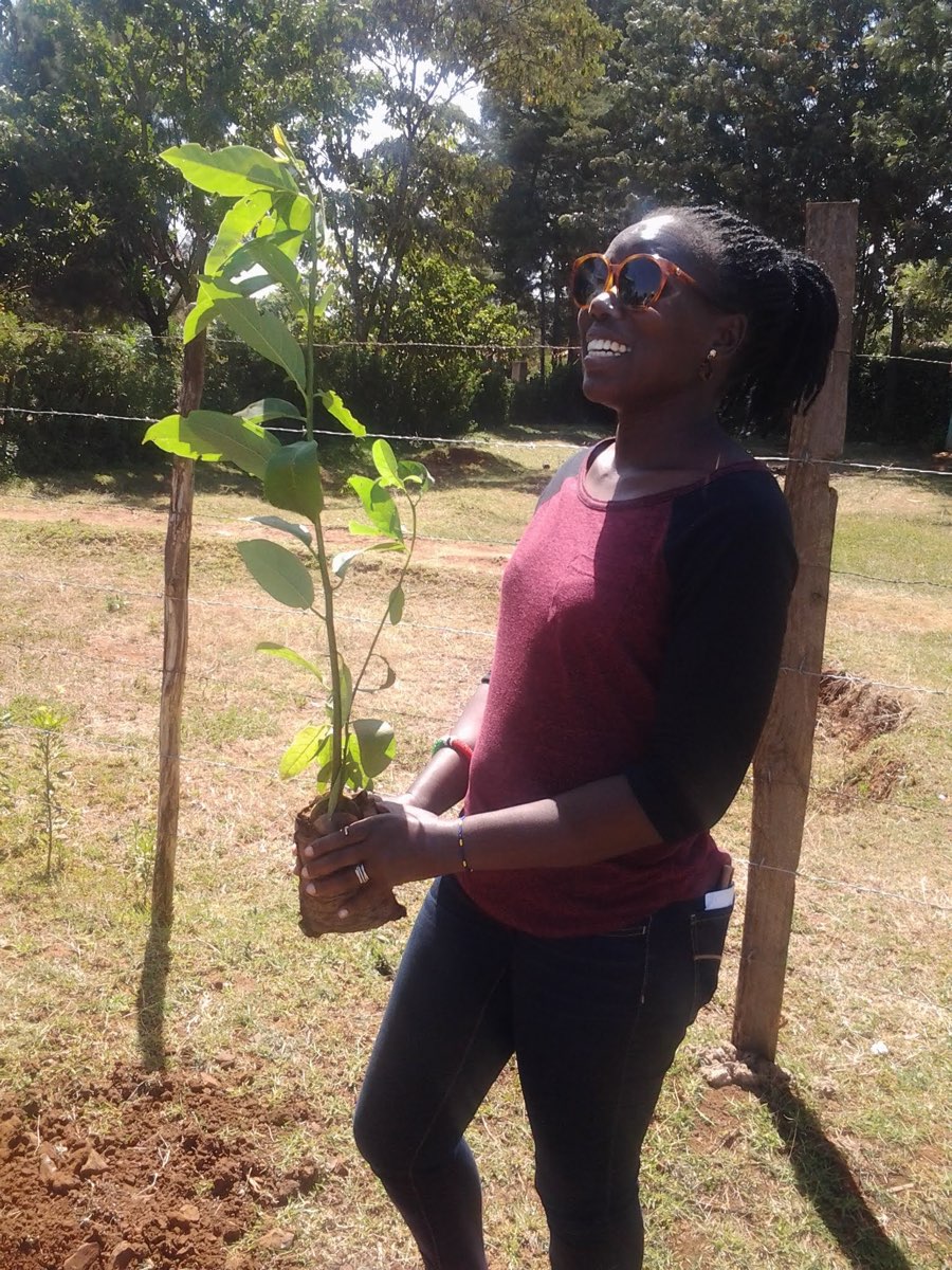 Adopt a tree save a generation