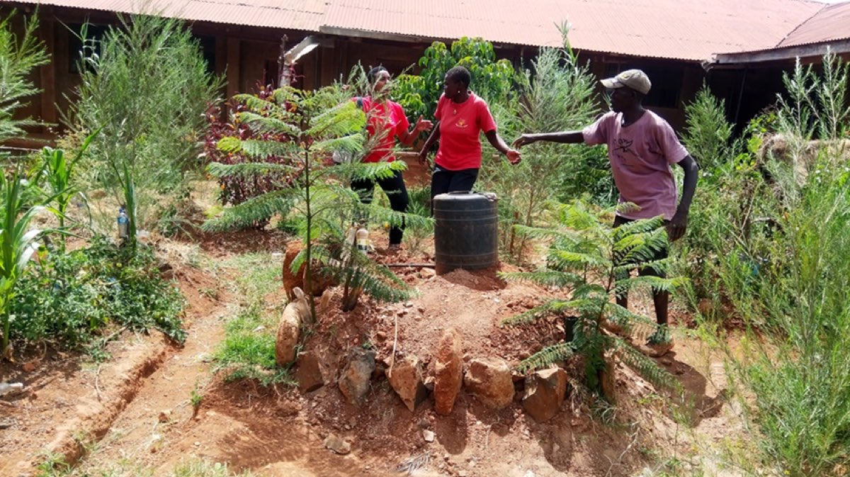 Adopt a tree save a generation photo 1
