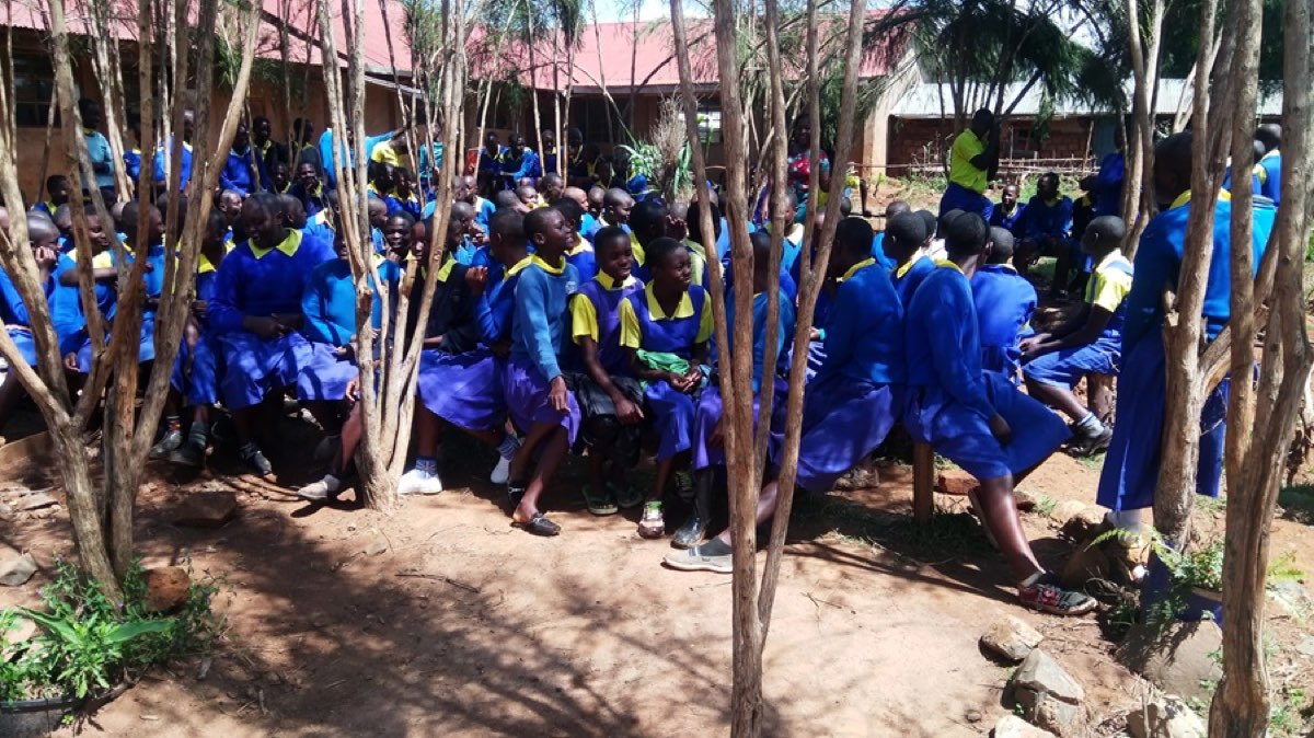 Adopt a tree save a generation photo 2