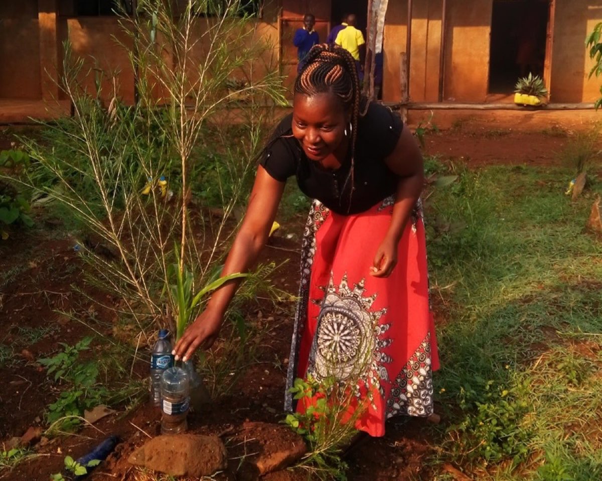 Adopt a tree save a generation photo 7