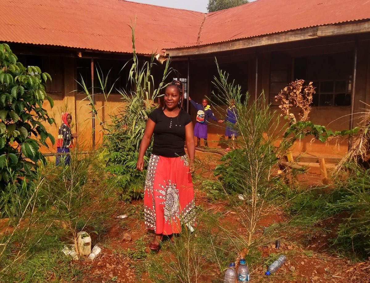 Adopt a tree save a generation photo 8