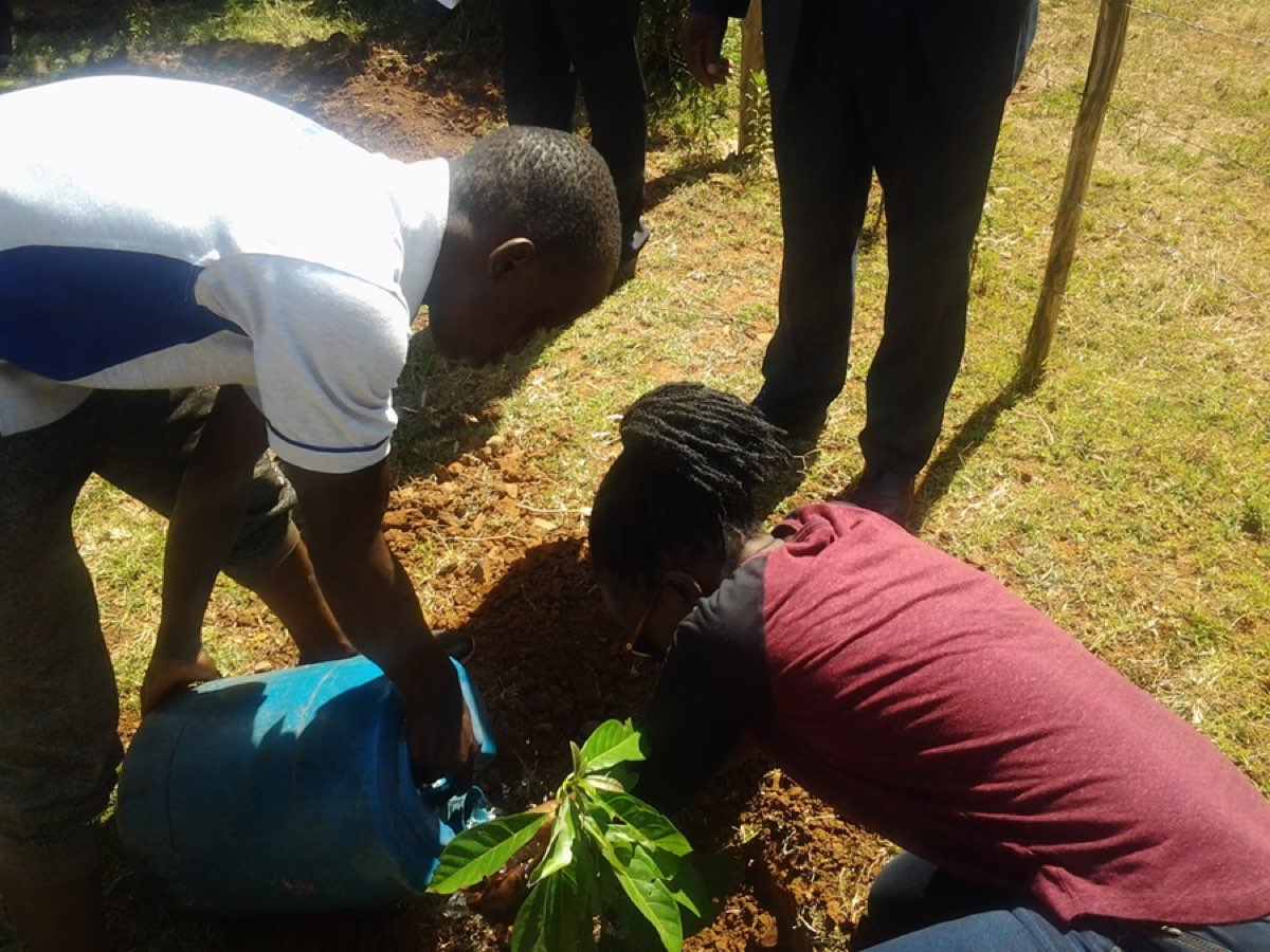 Adopt a tree save a generation photo 10